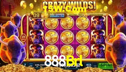 Exclusive Offers 888Brl